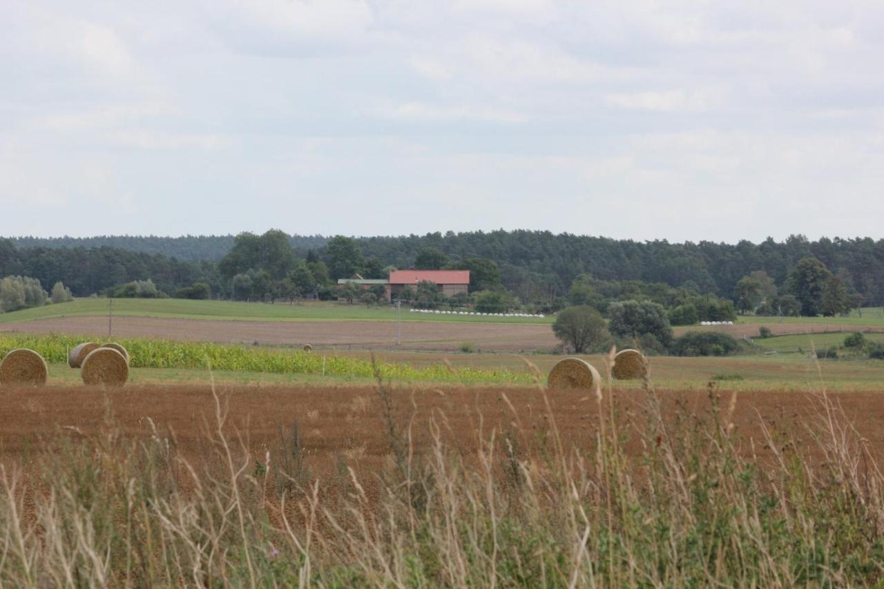Hof Georgenhöhe Lychen Exterior foto