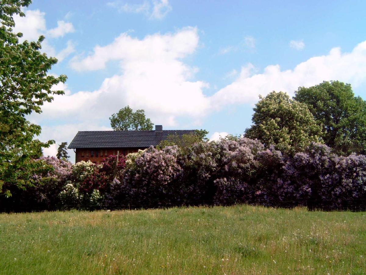 Hof Georgenhöhe Lychen Exterior foto